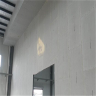 诏安宁波ALC板|EPS加气板隔墙与混凝土整浇联接的实验研讨